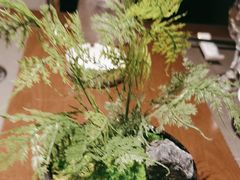 -百富源·海鲜辽菜(张士店)