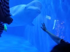 -多彩贵州城极地海洋世界