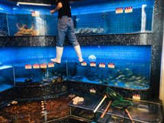 水产区-协成海鲜火锅(情侣路店)