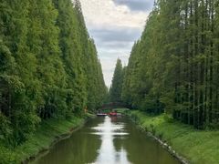 -黄海国家森林公园