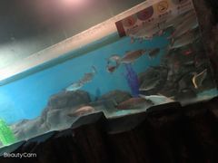 -苏州海洋馆