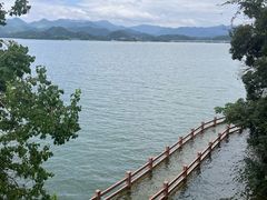 -千岛湖城中湖游船码头