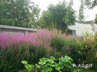 北京三里河公园打卡攻略