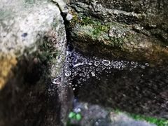 -龙颈河漂流