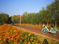 -艾溪湖湿地公园