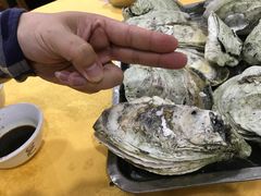 -蚝专家(北滘店)