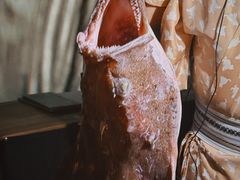-地球美食剧场