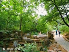 -北京西山国家森林公园