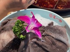 -家一加火锅(绿地翠谷总店)