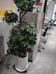 -LJOY丽锦造型·烫发染发