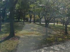 -中共上海市委党校 上海行政学院