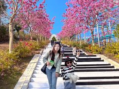 -盈香心动乐园