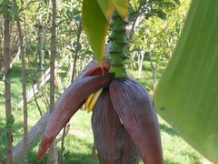 -武清南湖绿博园