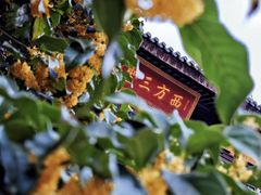 -西林禅寺