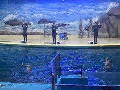 -福州罗源湾海洋世界旅游区