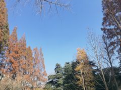-上海虹桥迎宾馆