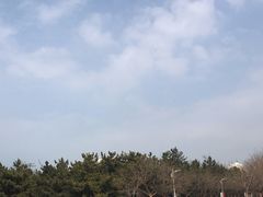 -山东大学(威海校区)