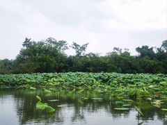 -西溪国家湿地公园