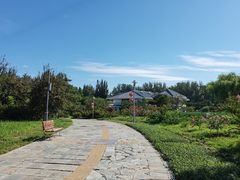 -燕郊植物园