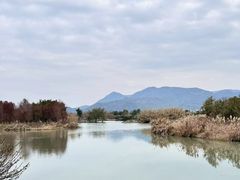 -三垟湿地