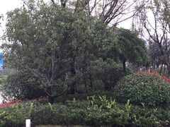 -郑州银基黄帝宫御温泉