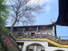 -冶父山国家森林公园