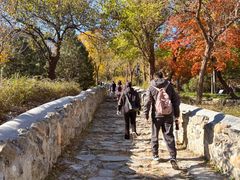 -阳台山自然风景区