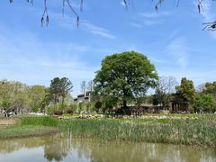 -青龙山国家森林公园