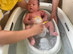 -小蝌蚪·寻·月嫂(普陀总部)