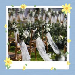 -保定金沙芝柏婚礼策划