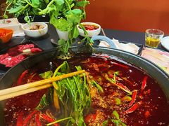 -老夏老火锅(西安南路总店)