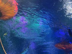 -沈阳海洋探索中心