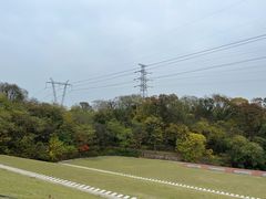 -佛手湖郊野公园