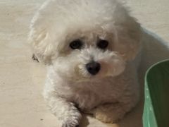 -乖乖宠物医院·猫科·骨科·24小时(云岗分院)