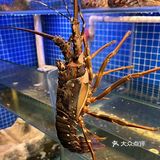 就喜欢这一口、就爱这个味[调皮]
