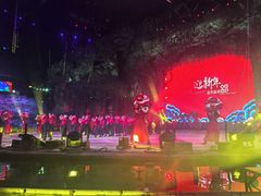-广州长隆国际大马戏