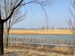 -野鸭湖国家湿地公园