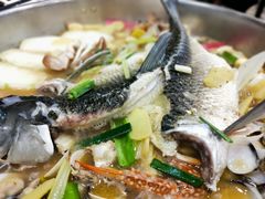 -鸽鸟轩(石岐店)
