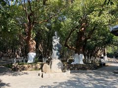 -八大山人梅湖景区