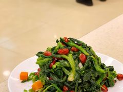 炝拌万年青-福云龙(黄河南大街店)