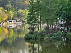 -重庆彩云湖湿地公园