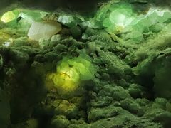 -湖南省地质博物馆