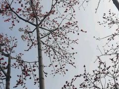 -艾溪湖湿地公园