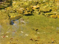 -洛阳白云山景区