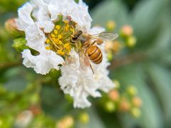 -杭州城北体育公园