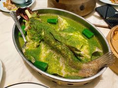 青柠檬酸汤鱼-星怡会·新加坡新美食(苏州中心店)
