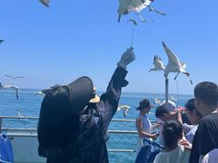 -海驴岛(荣成市)