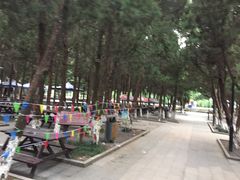 -白马涧龙池景区