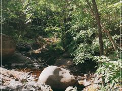 -云岫谷游猎自然风景区