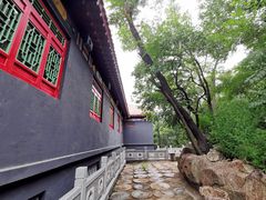 -高尔山公园